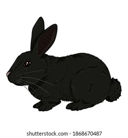 Vector Cartoon Small Black Rabbit