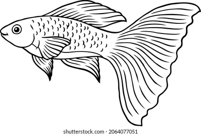 Dibujo vectorial Sonriente Guppy Fish Line Art