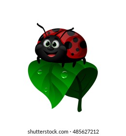 vector cartoon smiling ladybug on a green leaf