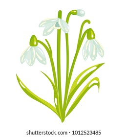 Vector cartoon snowdrop spring flower illustration