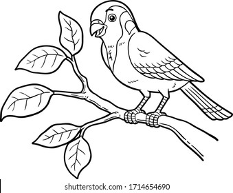 Vector Cartoon Sparrow On Tree Branch Line Art