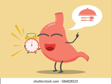 vector cartoon stomach and clock ringing with meal icon that should eat at food time.