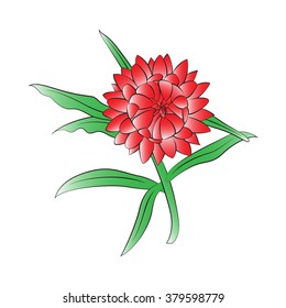 Vector cartoon straw flower on white background.