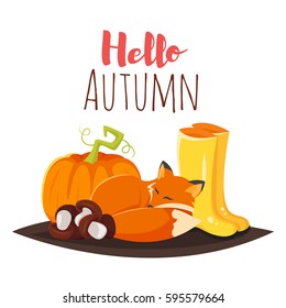 Vector cartoon style autumn background with fox, pumpkin and yellow boots. Icon for web. Isolated on white background.