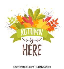 Vector cartoon style autumn design for season postcard or poster background with colorful leaves . White background.