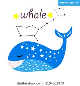 Vector cartoon style constellatin of whale. Funny element for children books, kids textile prints, poster, sticker, decoration, educational programm. Isolated items for your designs.