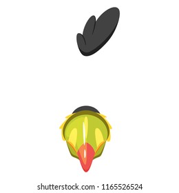 Vector cartoon style cute animal toucan face element or carnival mask. Decoration item for your selfie photo and video chat filter. Black comb and beak. Isolated on white background. 