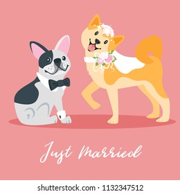 Vector cartoon style dog couple - french bulldog and Akita inu, wearing wedding symbols: bows and bridal veil. Save the date text.