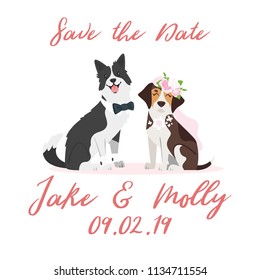 Vector cartoon style dog couple - border collie and beagle, wearing wedding symbols: bows and bridal veil. Save the date text.