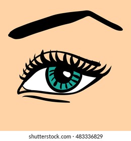 Vector cartoon style drawn illustration of beautiful female eye and eyebrow