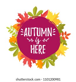 Vector cartoon style fall design for season postcard or poster background with red circle and colorful leaves around. White background. Autumn is here text.