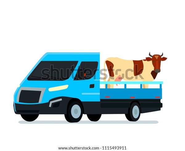 Vector cartoon style farmers car truck\
carrying a cow. Isolated on white\
background.