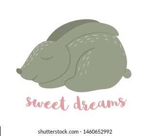 Vector cartoon style flat funny rabbit with carrot isolated on white background. Cute illustration of woodland animal. Sleeping hare icon for children’s design