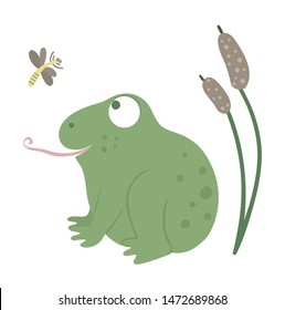 Vector cartoon style flat funny frog with reeds and mosquito isolated on white background. Cute illustration of woodland swamp animal. Sitting amphibian icon for children’s design