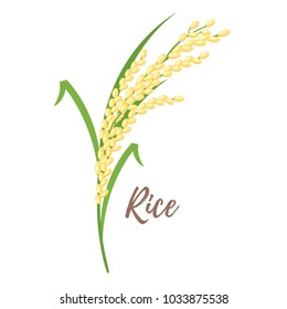 Vector Cartoon Style Illustration Of Cereals - Rice. Grain Plant Isolated On White Background.