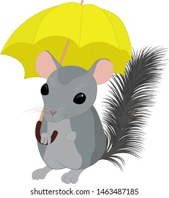 Vector cartoon style illustration of cute gray chinchilla and yellow umbrella. Isolated on white background.