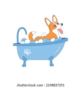 Vector cartoon style illustration of cute happy corgi dog taking a bath full of soap foam. Grooming concept. White background.