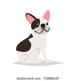 Vector cartoon style illustration of cute french bulldog dog, isolated on white background.