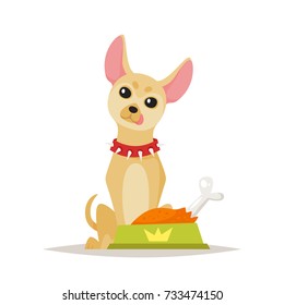 Vector cartoon style illustration of cute chihuahua dog preparing for the food, isolated on white background.