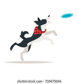 Vector cartoon style illustration of cute border collie dog running for the Frisbee, isolated on white background.