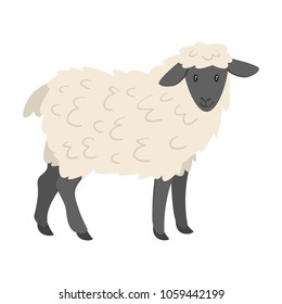 Vector cartoon style illustration of  farm animal - sheep. Isolated on white background.