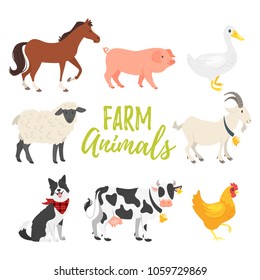 Vector cartoon style illustration of  farm animal - . Isolated on white background.