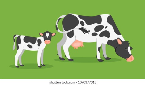 Vector cartoon style illustration of farm animals - cow with calf. Isolated on green background.
