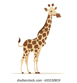 Vector cartoon style illustration of giraffe isolated on white background.