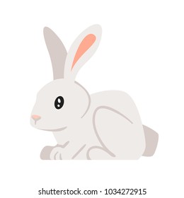 Vector cartoon style illustration of home animal pet - rabbit. Isolated on white background.