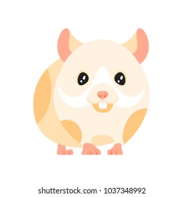 Vector cartoon style illustration of home animal pet - hamster. Isolated on white background.