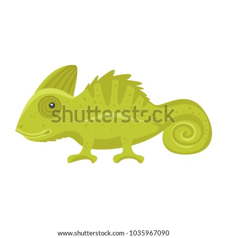 Vector cartoon style illustration of home animal pet - green chameleon. Isolated on white background.