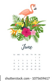 Vector cartoon style illustration of June 2018 year calendar page with floral composition with tropical leaves, flowers, toucan and flamingo. Template for print.
