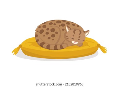 Vector cartoon style illustration of luxurious cat