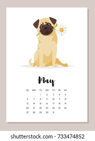 Vector cartoon style illustration of May pug dog 2018 year calendar page. Isolated on white background. Template for print.