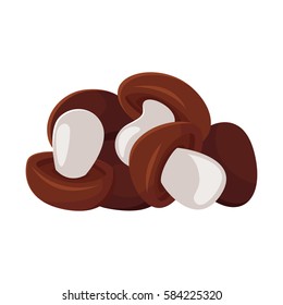 Vector cartoon style illustration of mushrooms. Icon for web. Isolated on white background.