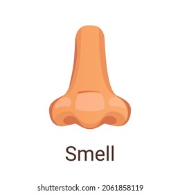 Vector cartoon style illustration of the nose. One of five senses - smell. Isolated on white background.