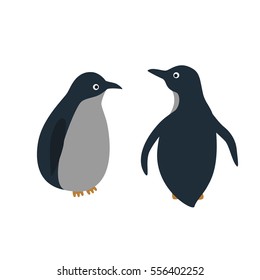 Vector cartoon style illustration of penguins.