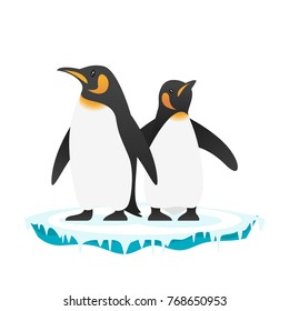 Vector cartoon style illustration of penguins, isolated on white background.
