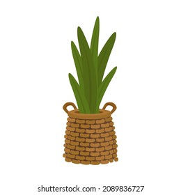 Vector cartoon style illustration potted house plant