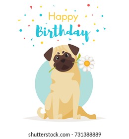 Vector cartoon style illustration of pug with flower. Isolated on white background. Template for postcard print. Title "Happy birthday".