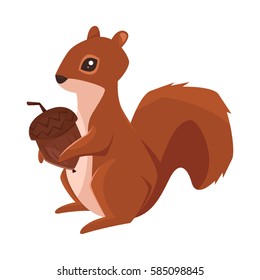 Vector cartoon style illustration of squirrel with acorn. Icon for web. Isolated on white background.