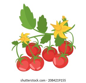 Ilustración vectorial del estilo de dibujos animados del brunch del tomate
