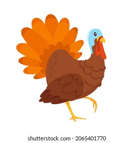 Vector cartoon style illustration of a turkey bird. Isolated on white background.