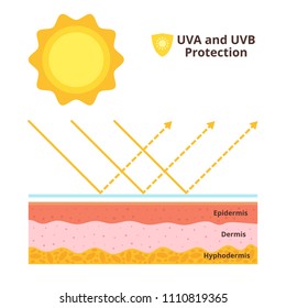 Vector cartoon style illustration of uvb and uva protection for skin. Uv shield concept. 

