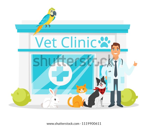 Vector Cartoon Style Illustration Vet Clinic Stock Vector (Royalty Free ...