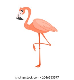 Vector cartoon style illustration of zoo animal - flamingo. Isolated on white background.