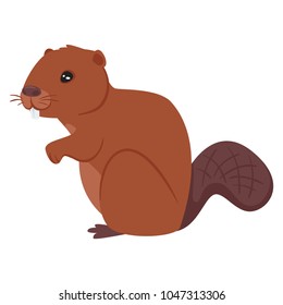Vector cartoon style illustration of zoo animal - beaver. Isolated on white background.