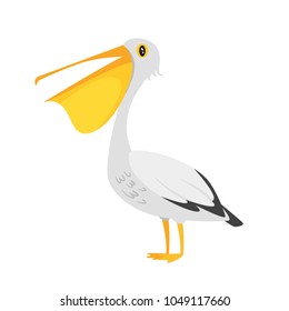Vector cartoon style illustration of zoo animal - pelican. Isolated on white background.