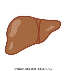 Vector cartoon style isolated on white background illustration cute outlined brown liver. For children medicine and healthcare