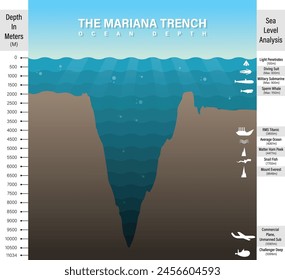 Vector cartoon style mariana trench sea illustration, infographics, analysis, depth of ocean